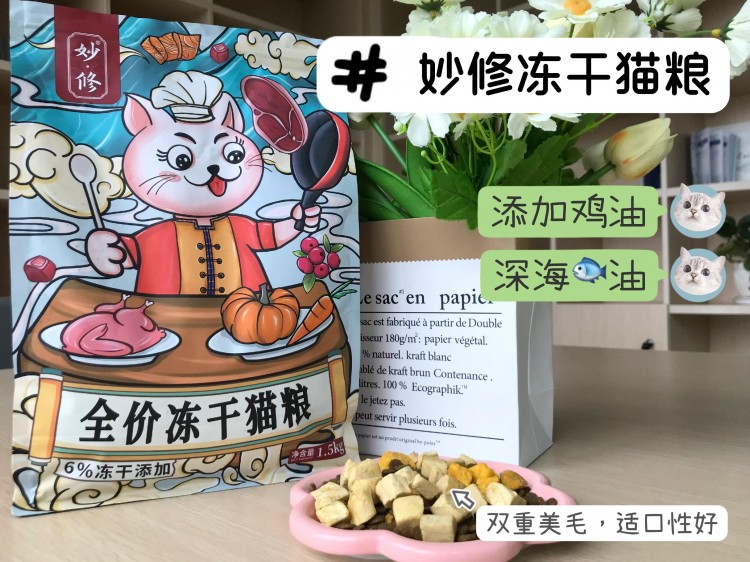 注意！小猫这几种症状说明都是寄生虫别忽视了