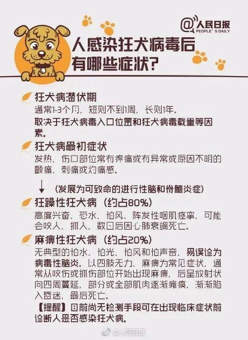 「提醒」被狗舔后40天9岁孩子突然死亡！养宠物一定注意！