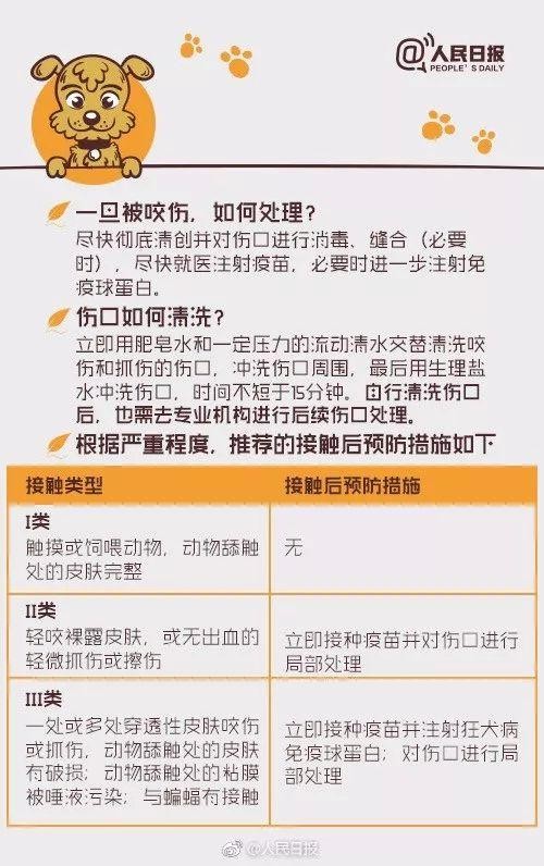 「提醒」被狗舔后40天9岁孩子突然死亡！养宠物一定注意！