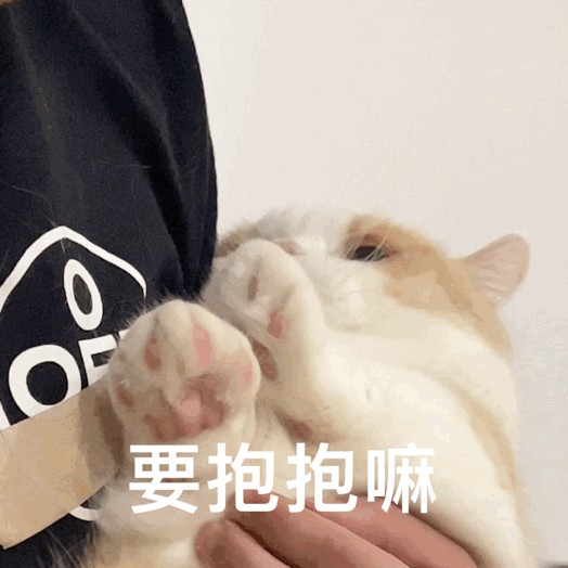 猫咪过得快乐会有这些表现骗不了人！